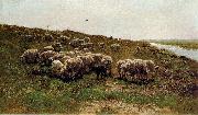Mauve, Anton Sheep on a dyke oil painting on canvas